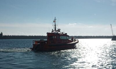 sar artemis