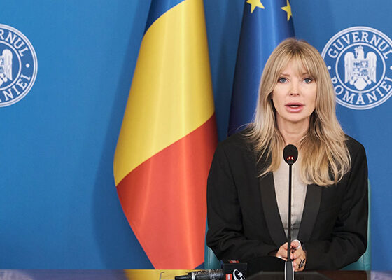 senator victoria stoiciu