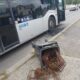 tomberon ct bus