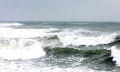 vant constanta