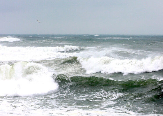 vant constanta