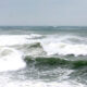 vant constanta