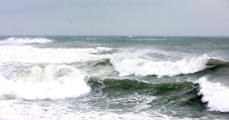 vant constanta